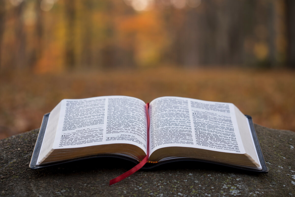 San Girolamo e la giornata mondiale della traduzione san girolamo e la giornata mondiale della traduzione