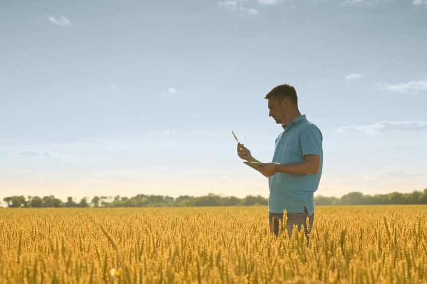 Nell'odierno panorama competitivo globale, il settore agroalimentare internazionale si confronta con sfide sempre più complesse. Per gli attori di questo settore, l'espansione oltre i confini nazionali diviene un'esigenza ineludibile per la crescita e il servizi linguistici per la crescita del settore agroalimentare