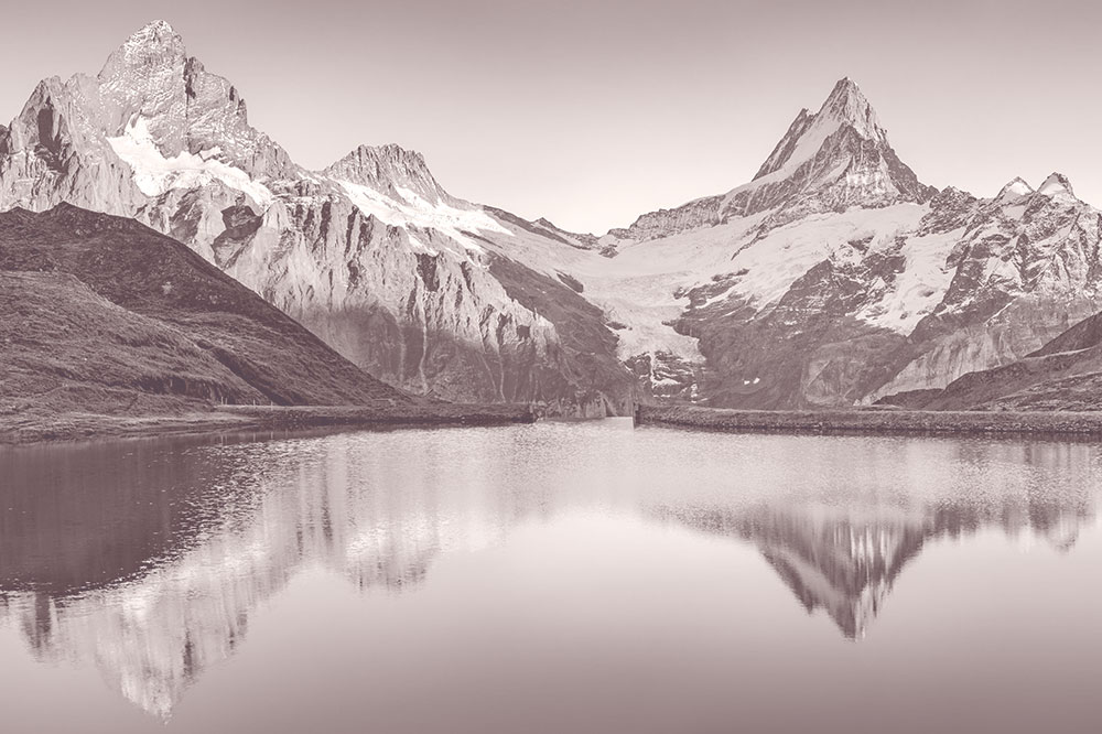 Sede-lugano sede-lugano